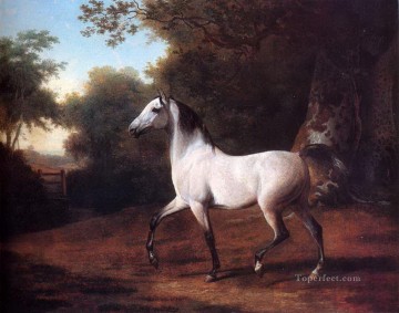Caballo Painting - dw011fD animal caballo